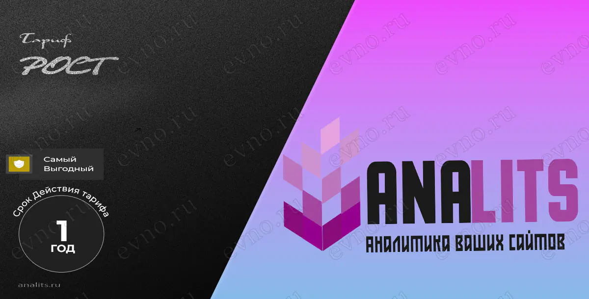 Тариф «Рост» на 1 Год Analits